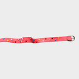Two Belts - SAMPLE SALE