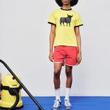 Elephant Shorts
