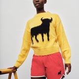 Elephant Shorts