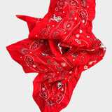 Set of 2 Scarfs - SAMPLE SALE