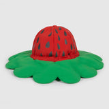 Strawberry Situation